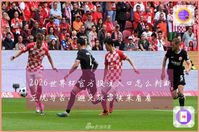 2026世界杯官方投注入口怎么判断正规与否，避免踩雷快来看看