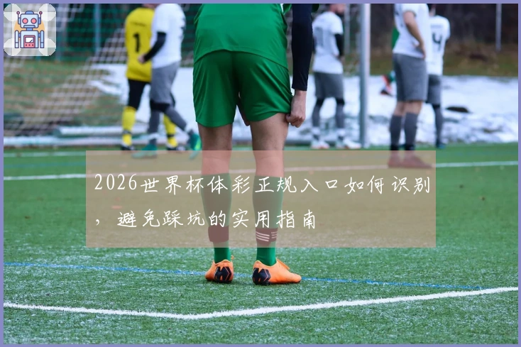 2026世界杯体彩正规入口如何识别，避免踩坑的实用指南