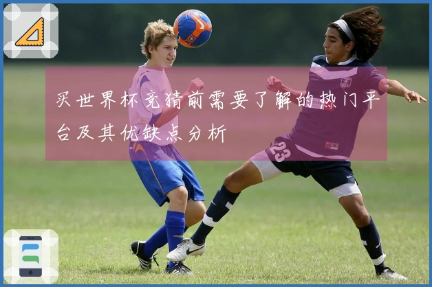 买世界杯竞猜前需要了解的热门平台及其优缺点分析