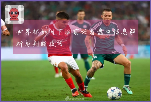 世界杯如何下注前必看盘口信息解析与判断技巧