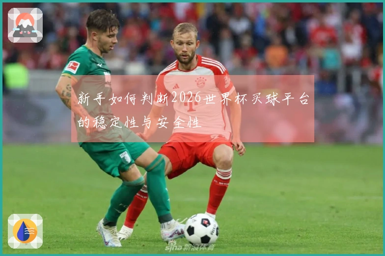 新手如何判断2026世界杯买球平台的稳定性与安全性
