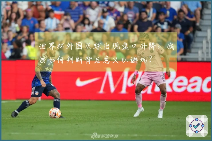 世界杯外围买球出现盘口升降，我该如何判断背后意义以避坑？