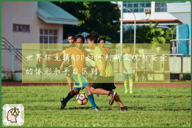 世界杯竞猜app如何判断正规与安全的体彩和平台区别