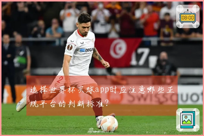 选择世界杯买球app时应注意哪些正规平台的判断标准？
