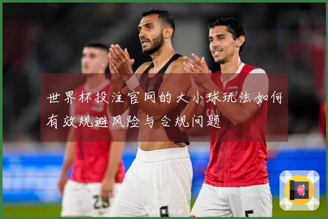 世界杯投注官网的大小球玩法如何有效规避风险与合规问题