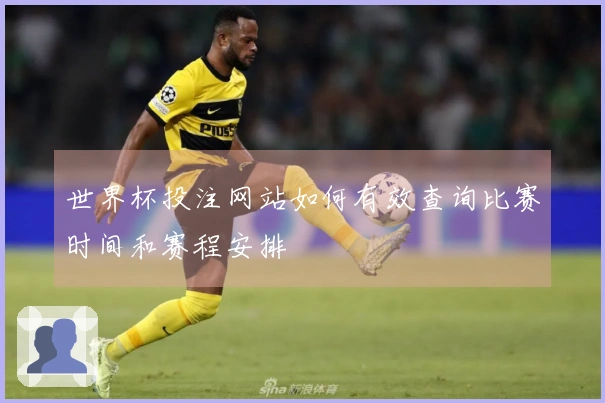 世界杯投注网站如何有效查询比赛时间和赛程安排