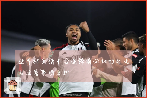 世界杯竞猜平台选择前必知的对比与注意事项分析