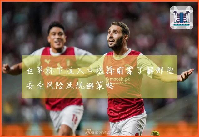 世界杯下注入口选择前需了解哪些安全风险及规避策略