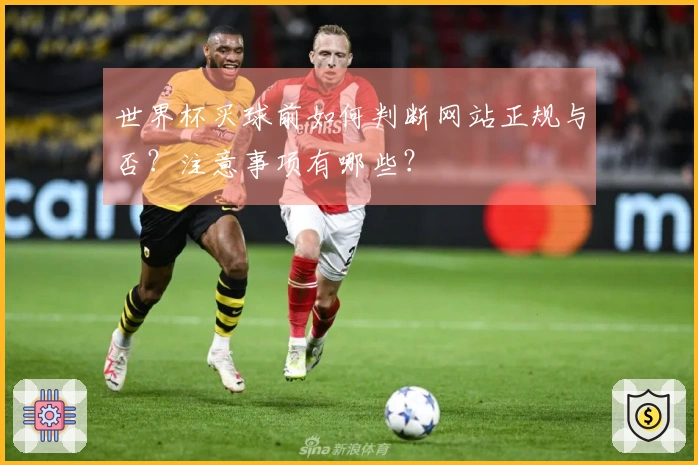 世界杯买球前如何判断网站正规与否？注意事项有哪些？