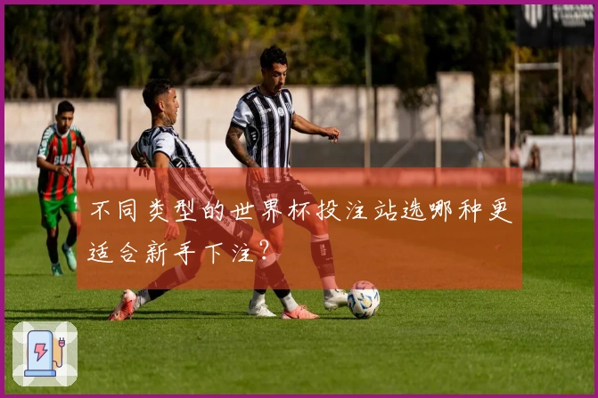 不同类型的世界杯投注站选哪种更适合新手下注？