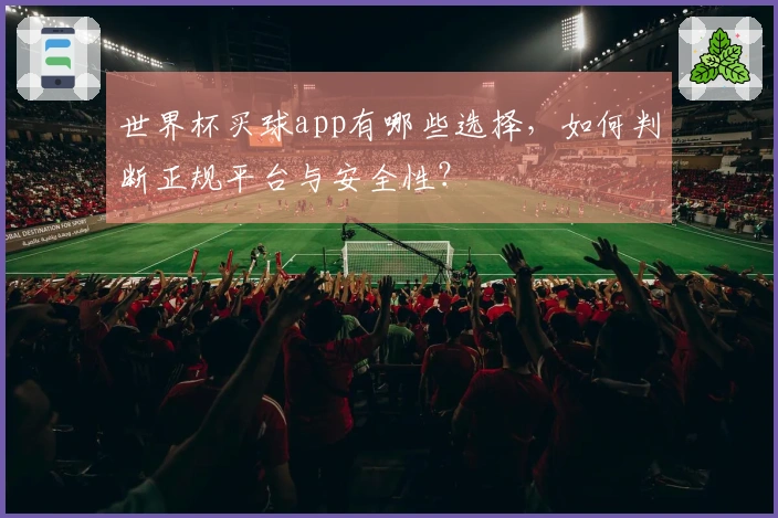 世界杯买球app有哪些选择，如何判断正规平台与安全性？