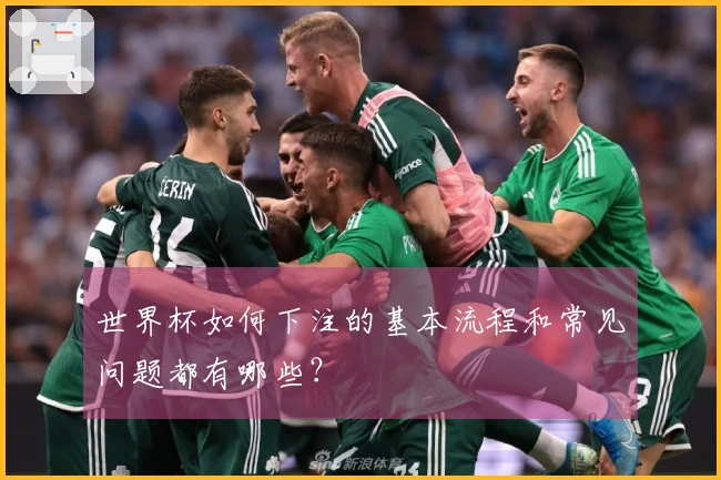 世界杯如何下注的基本流程和常见问题都有哪些？