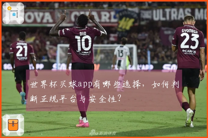 世界杯买球app有哪些选择，如何判断正规平台与安全性？