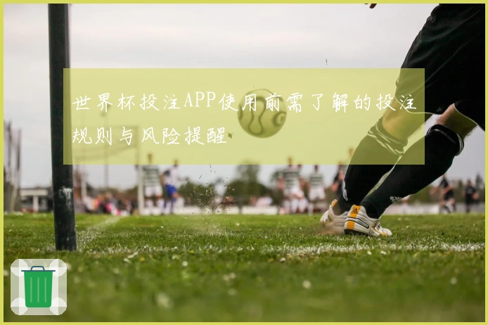 世界杯投注APP使用前需了解的投注规则与风险提醒