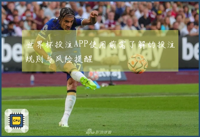 世界杯投注APP使用前需了解的投注规则与风险提醒