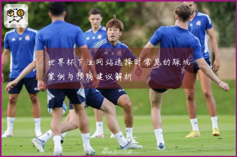 世界杯下注网站选择时常见的踩坑案例与预防建议解析