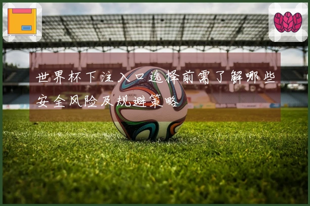 世界杯下注入口选择前需了解哪些安全风险及规避策略