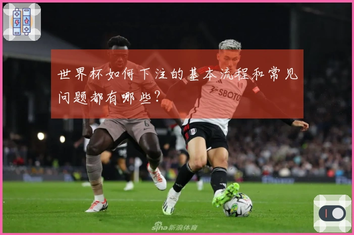 世界杯如何下注的基本流程和常见问题都有哪些？