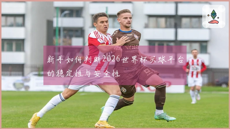 新手如何判断2026世界杯买球平台的稳定性与安全性