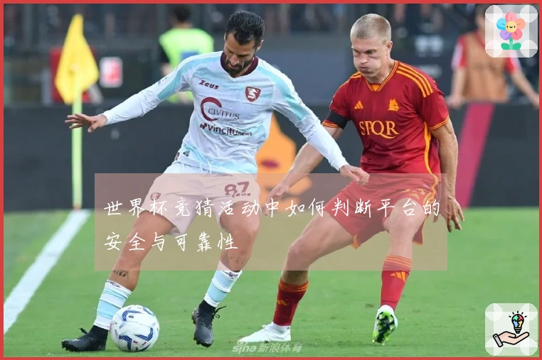 世界杯竞猜活动中如何判断平台的安全与可靠性